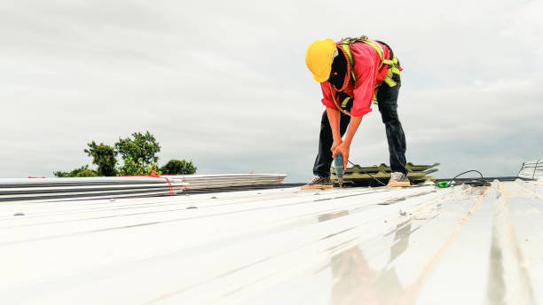 Best Roof Ventilation Installation  in Wellsville, UT